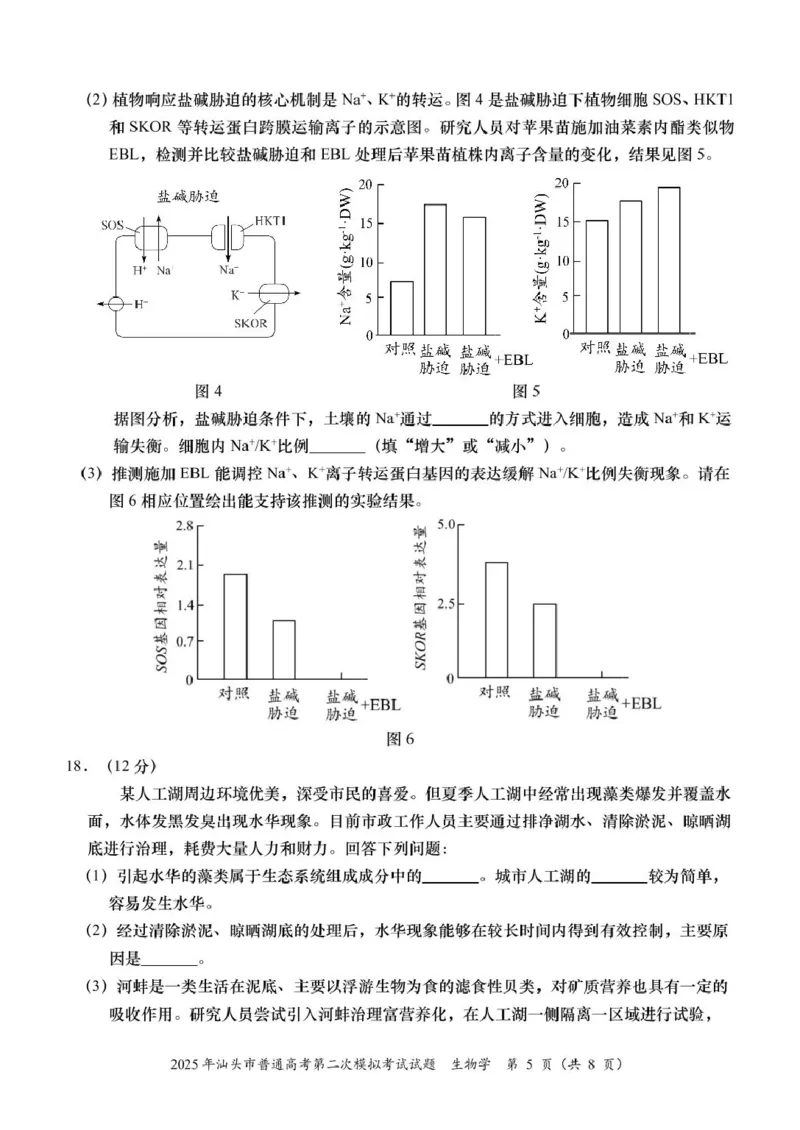 2025届广东省汕头市高三下学期普通高考第二次模拟考试生物学试题_2025年4月_250428广东省汕头二模2025届高三第二次模拟考试（全科）