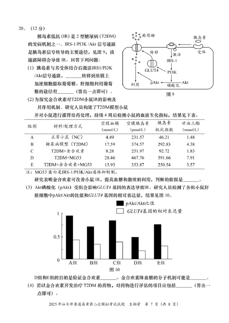 2025届广东省汕头市高三下学期普通高考第二次模拟考试生物学试题_2025年4月_250428广东省汕头二模2025届高三第二次模拟考试（全科）