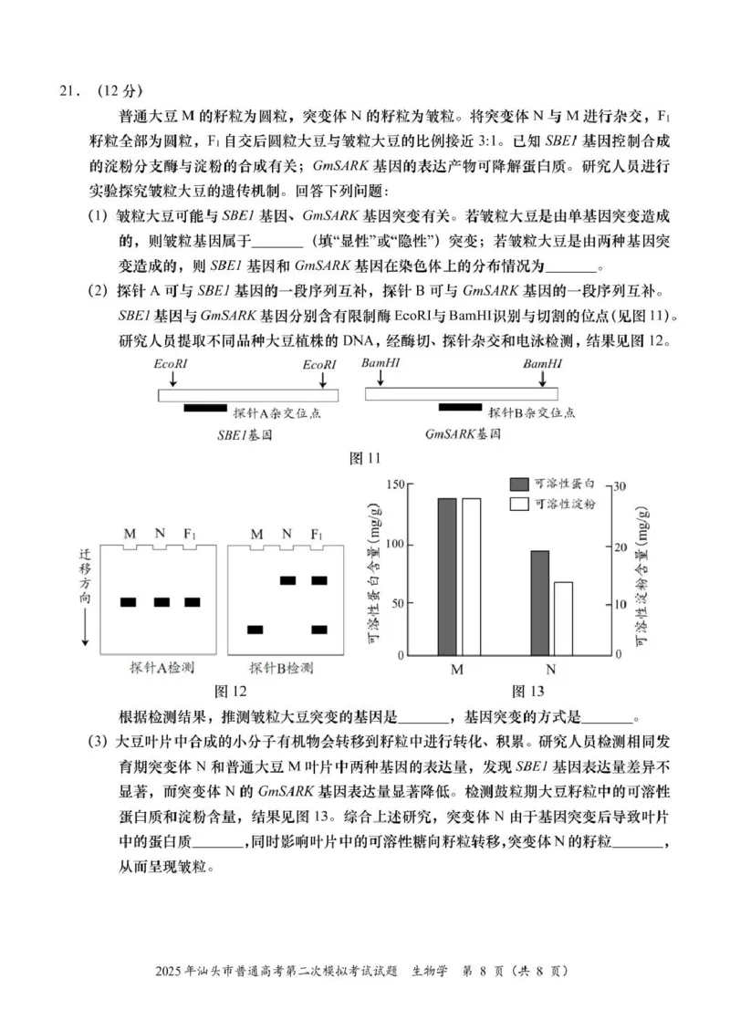 2025届广东省汕头市高三下学期普通高考第二次模拟考试生物学试题_2025年4月_250428广东省汕头二模2025届高三第二次模拟考试（全科）