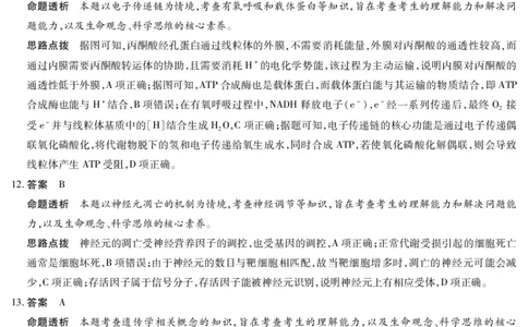 生物学合肥专版安徽高三年级十月调研考试答案_2025年10月_251018安徽天一大联考豫皖联考2026届高三上学期十月调研考试（全科）_安徽高三年级十月调研考试答案