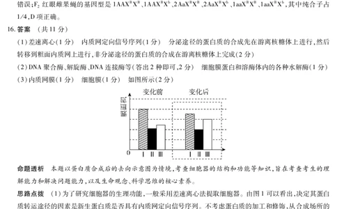 生物学合肥专版安徽高三年级十月调研考试答案_2025年10月_251018安徽天一大联考豫皖联考2026届高三上学期十月调研考试（全科）_安徽高三年级十月调研考试答案