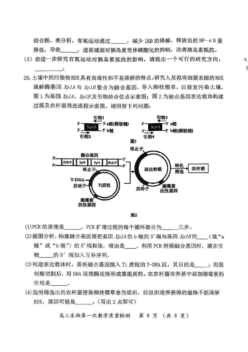 生物试卷漳州市2026届高中毕业班第一次质量检测_2025年9月_250903福建省漳州市2026届高中毕业班第一次质量检测（全科）_福建省漳州市2026届高中毕业班第一次质量检测生物
