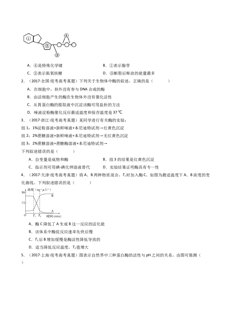 专题04酶和ATP（原卷卷）_近10年高考真题汇编（必刷）_十年（2014-2024）高考生物真题分项汇编（全国通用）_十年（2014-2023）高考生物真题分项汇编（全国通用）