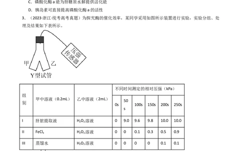 专题04酶和ATP（原卷卷）_近10年高考真题汇编（必刷）_十年（2014-2024）高考生物真题分项汇编（全国通用）_十年（2014-2023）高考生物真题分项汇编（全国通用）