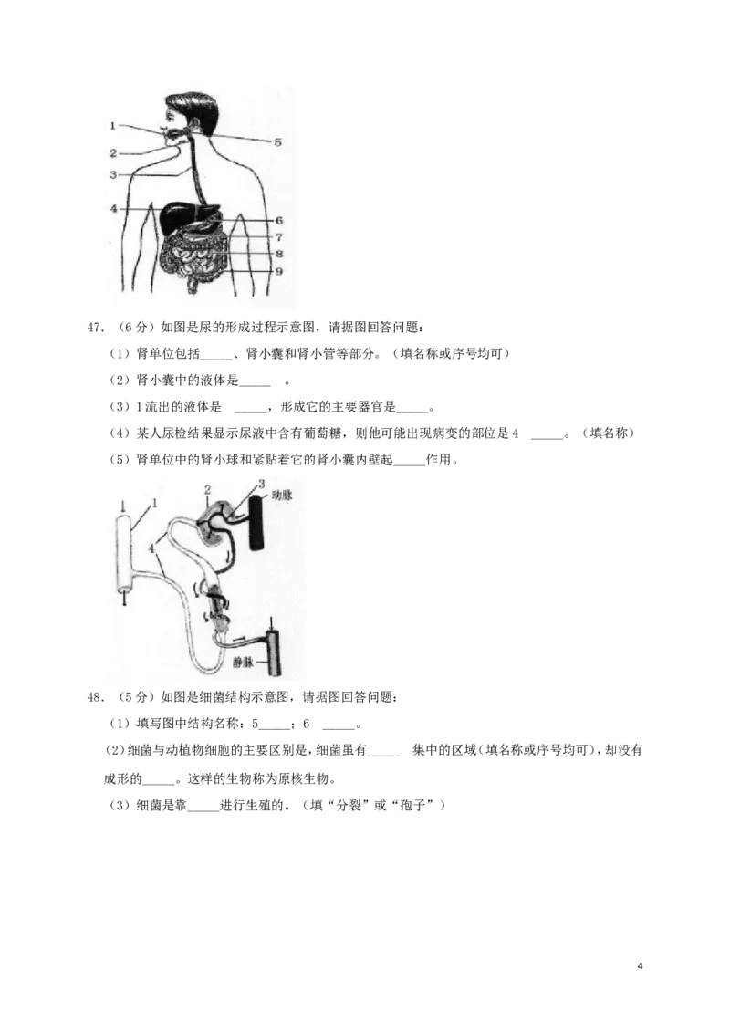 黑龙江省绥化市2019年中考生物真题试题（含解析）_中考真题_8.生物中考真题2015-2024年_2019年全国中考生物92份
