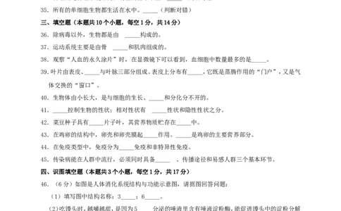 黑龙江省绥化市2019年中考生物真题试题（含解析）_中考真题_8.生物中考真题2015-2024年_2019年全国中考生物92份