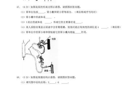 黑龙江省绥化市2019年中考生物真题试题（含解析）_中考真题_8.生物中考真题2015-2024年_2019年全国中考生物92份