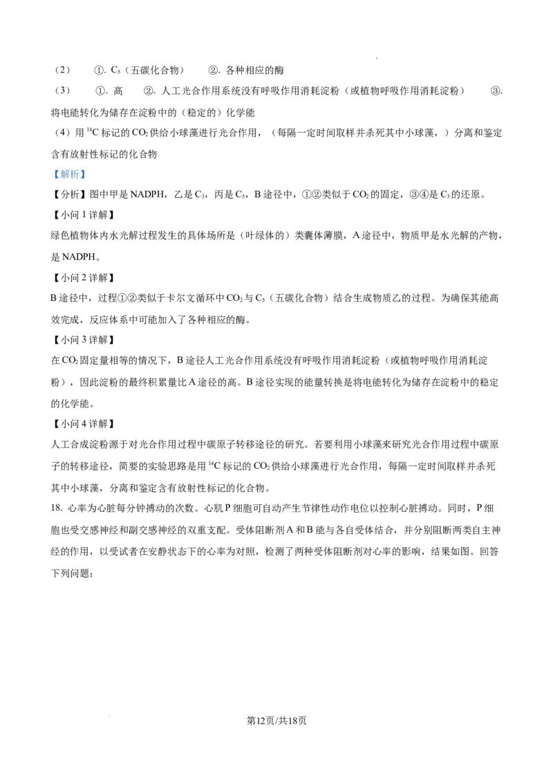 山西省太原市山西大学附属中学2025-2026学年高三上学期10月考试生物试题（解析版）_2025年10月_山西省太原市山西大学附属中学校2025-2026学年高三上学期10月模块诊断（总第四次）生物