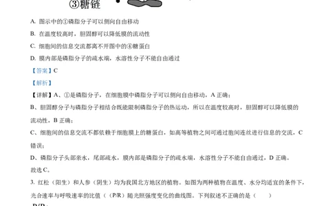山西省太原市山西大学附属中学2025-2026学年高三上学期10月考试生物试题（解析版）_2025年10月_山西省太原市山西大学附属中学校2025-2026学年高三上学期10月模块诊断（总第四次）生物