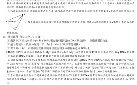 生物答案（26月考一Y）_2025年9月_250910湖南省长沙市第一中学2025-2026学年高三上学期9月月考（一）（全科）