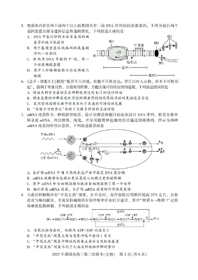 湖南省邵阳市2025届高三下学期第三次联考生物试题（含答案）_2025年5月_2505242025届湖南省邵阳市高三下学期第三次联考（全科）