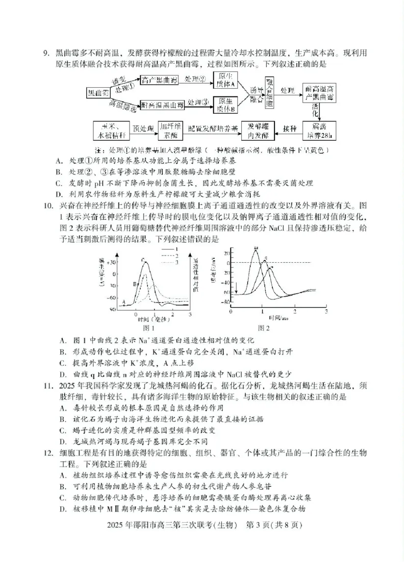 湖南省邵阳市2025届高三下学期第三次联考生物试题（含答案）_2025年5月_2505242025届湖南省邵阳市高三下学期第三次联考（全科）