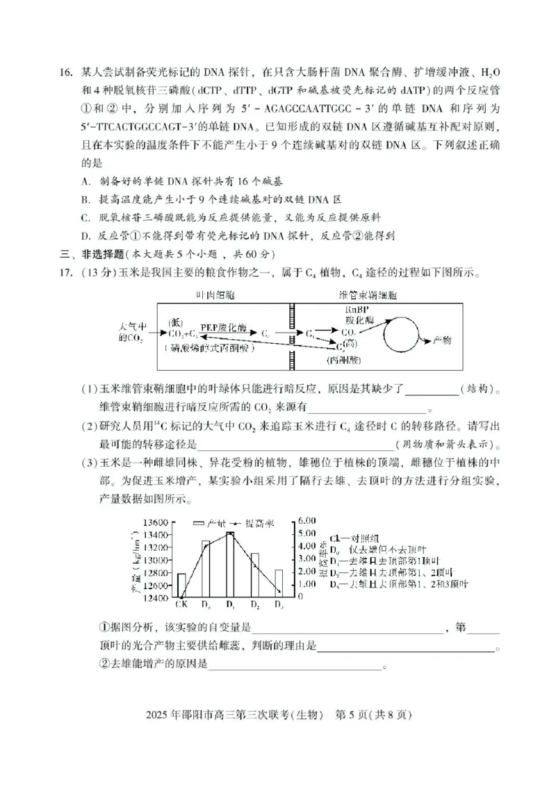湖南省邵阳市2025届高三下学期第三次联考生物试题（含答案）_2025年5月_2505242025届湖南省邵阳市高三下学期第三次联考（全科）