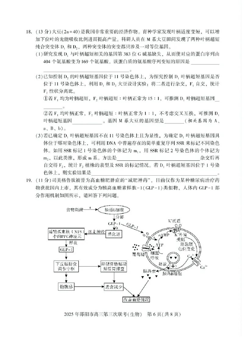 湖南省邵阳市2025届高三下学期第三次联考生物试题（含答案）_2025年5月_2505242025届湖南省邵阳市高三下学期第三次联考（全科）
