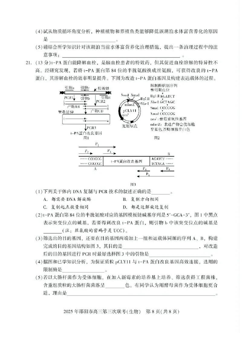 湖南省邵阳市2025届高三下学期第三次联考生物试题（含答案）_2025年5月_2505242025届湖南省邵阳市高三下学期第三次联考（全科）