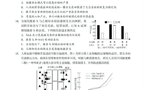 湖南省邵阳市2025届高三下学期第三次联考生物试题（含答案）_2025年5月_2505242025届湖南省邵阳市高三下学期第三次联考（全科）