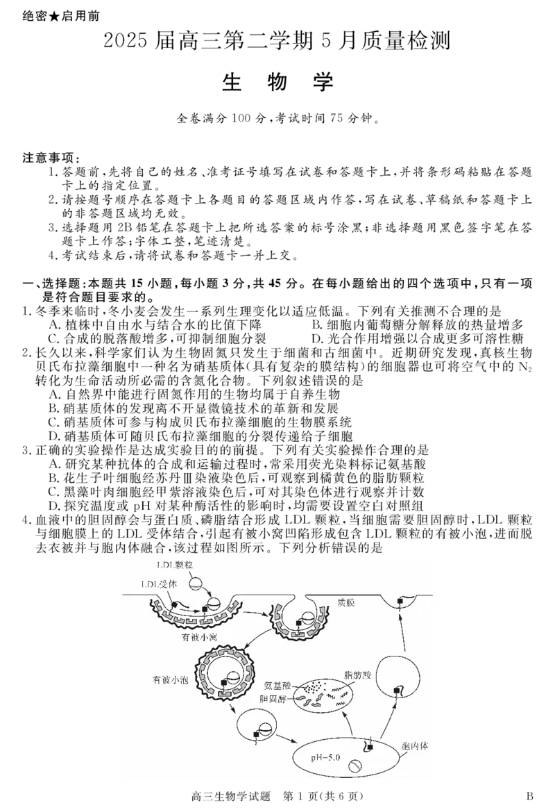 安徽省华师联盟2025届高三第二学期5月质量检测生物-B_2025年5月_250523安徽省华师联盟2025届高三第二学期5月质量检测（全科）