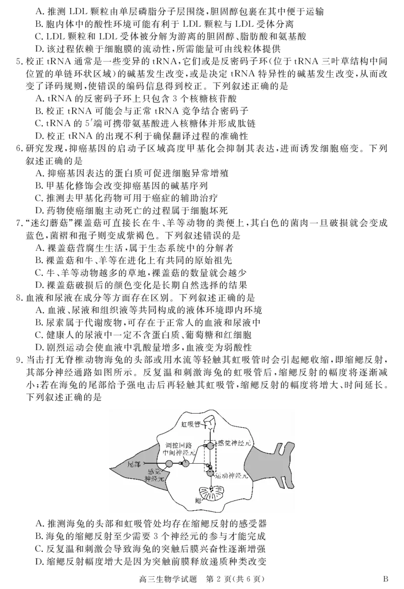 安徽省华师联盟2025届高三第二学期5月质量检测生物-B_2025年5月_250523安徽省华师联盟2025届高三第二学期5月质量检测（全科）