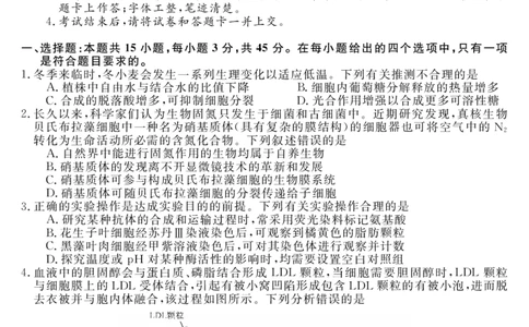 安徽省华师联盟2025届高三第二学期5月质量检测生物-B_2025年5月_250523安徽省华师联盟2025届高三第二学期5月质量检测（全科）