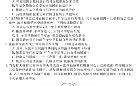 安徽省华师联盟2025届高三第二学期5月质量检测生物-B_2025年5月_250523安徽省华师联盟2025届高三第二学期5月质量检测（全科）