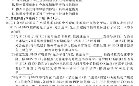 安徽省华师联盟2025届高三第二学期5月质量检测生物-B_2025年5月_250523安徽省华师联盟2025届高三第二学期5月质量检测（全科）