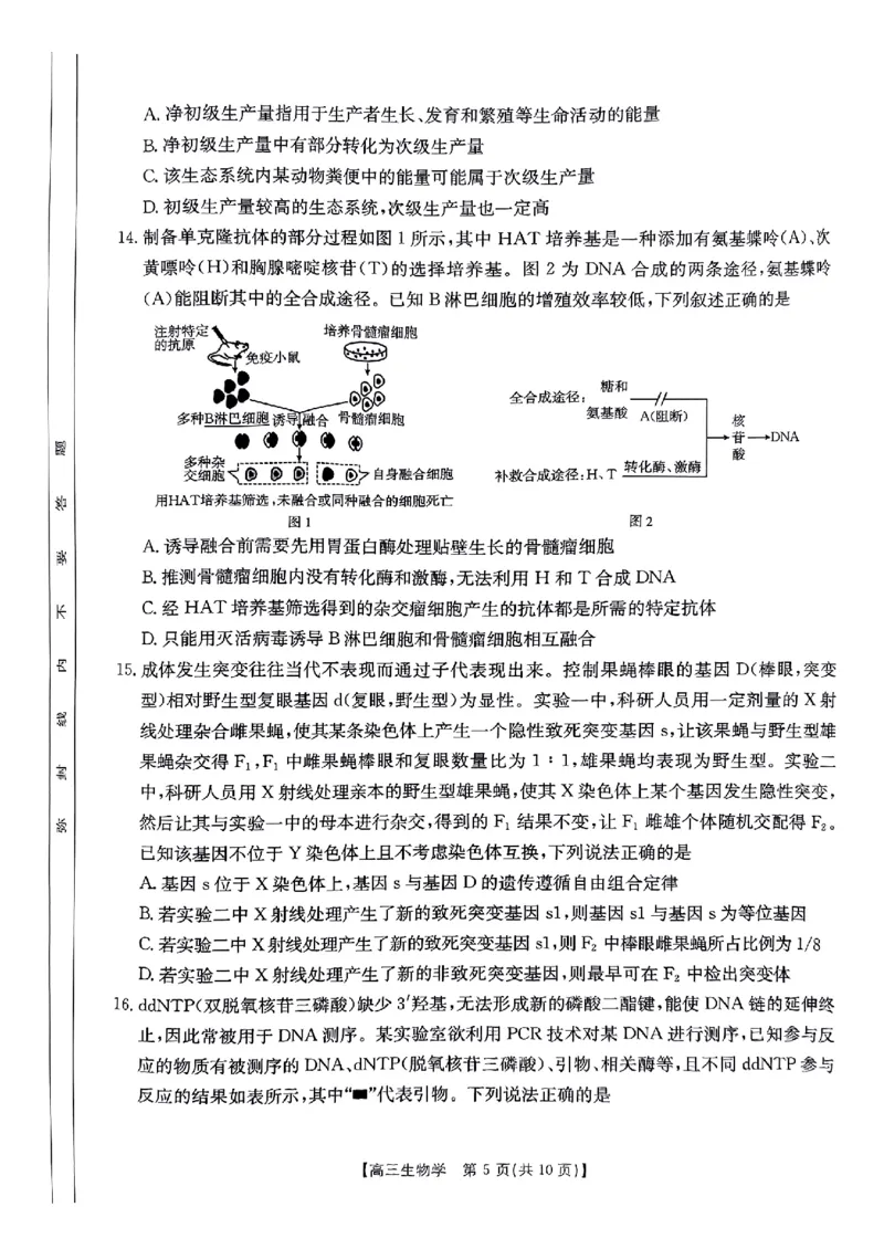 河南省驻马店金太阳2025届高三1月期末联考生物_2025年1月_250123河南省驻马店金太阳2025届高三1月期末联考（全科）_河南省驻马店2025届高三1月期末联考生物