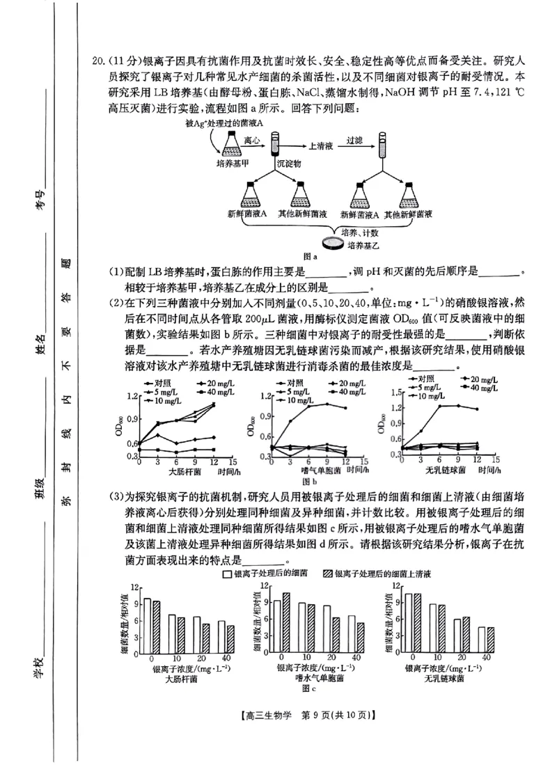 河南省驻马店金太阳2025届高三1月期末联考生物_2025年1月_250123河南省驻马店金太阳2025届高三1月期末联考（全科）_河南省驻马店2025届高三1月期末联考生物