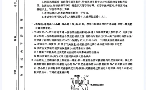 河南省驻马店金太阳2025届高三1月期末联考生物_2025年1月_250123河南省驻马店金太阳2025届高三1月期末联考（全科）_河南省驻马店2025届高三1月期末联考生物