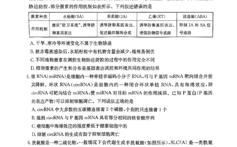 河南省驻马店金太阳2025届高三1月期末联考生物_2025年1月_250123河南省驻马店金太阳2025届高三1月期末联考（全科）_河南省驻马店2025届高三1月期末联考生物