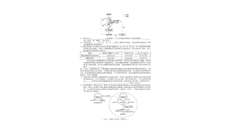 江西省南昌市2025-2026学年高三上学期9月测试生物试题_2025年9月_250916江西省南昌市零模2026届高三上学期九月测试_江西省南昌市零模2026届高三上学期九月测试生物