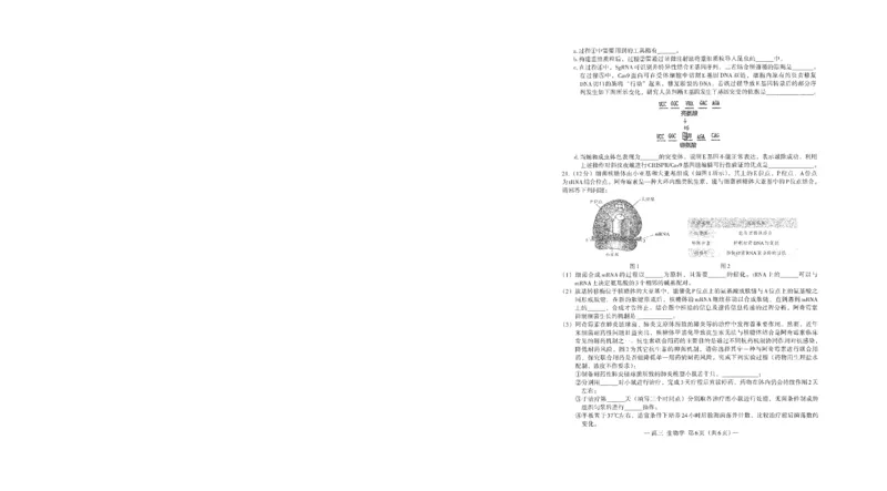 江西省南昌市2025-2026学年高三上学期9月测试生物试题_2025年9月_250916江西省南昌市零模2026届高三上学期九月测试_江西省南昌市零模2026届高三上学期九月测试生物