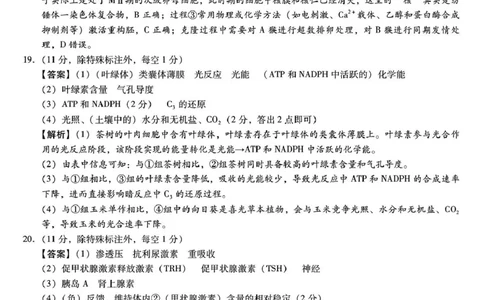 琢名小渔名校联考2026届高三年级中期调研检测生物答案_2025年11月_251119河北省琢名小渔名校联考2026届高三年级中期调研检测（全科）
