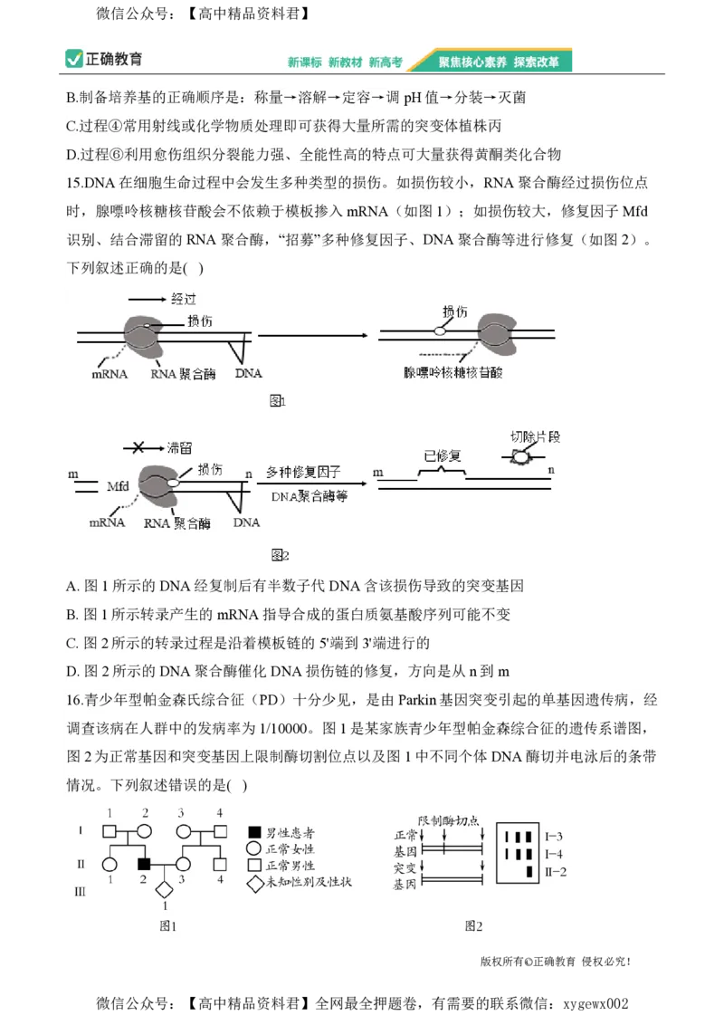 2024届明日之星高考生物精英模拟卷湖南版_2024高考押题卷_72024正确教育全系列_2024明日之星全系列_（新高考）2024《明日之星&middot;高考精英模拟卷》（九科全）各一套