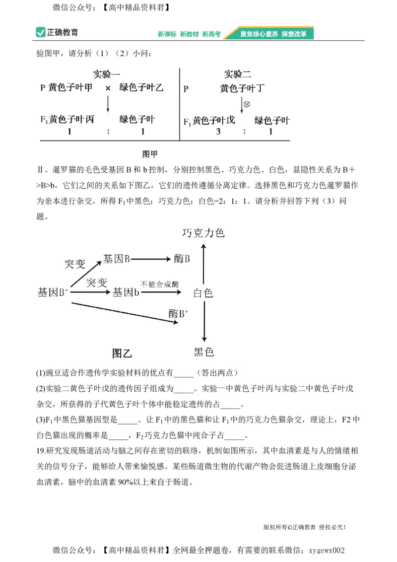 2024届明日之星高考生物精英模拟卷湖南版_2024高考押题卷_72024正确教育全系列_2024明日之星全系列_（新高考）2024《明日之星&middot;高考精英模拟卷》（九科全）各一套