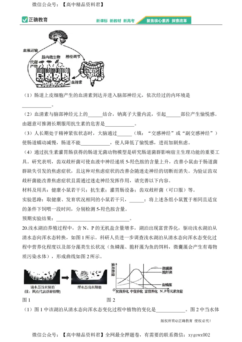 2024届明日之星高考生物精英模拟卷湖南版_2024高考押题卷_72024正确教育全系列_2024明日之星全系列_（新高考）2024《明日之星&middot;高考精英模拟卷》（九科全）各一套