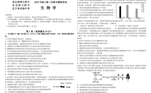 生物二模B4_2025年4月_250403东北三省三校2025届高三第二次联合模拟考试（哈师大附中、东师大附中、辽宁省实验中学）（全科）