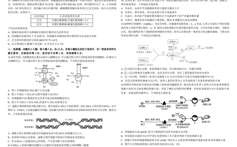 生物二模B4_2025年4月_250403东北三省三校2025届高三第二次联合模拟考试（哈师大附中、东师大附中、辽宁省实验中学）（全科）