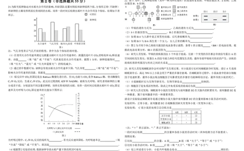生物二模B4_2025年4月_250403东北三省三校2025届高三第二次联合模拟考试（哈师大附中、东师大附中、辽宁省实验中学）（全科）