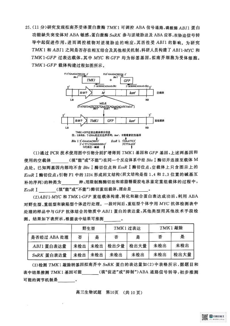 生物1_2025年1月_250119山东省济南市2024-2025学年高三上学期1月期末学习质量检测（全科）_山东省济南市2024-2025学年高三上学期1月期末考试生物