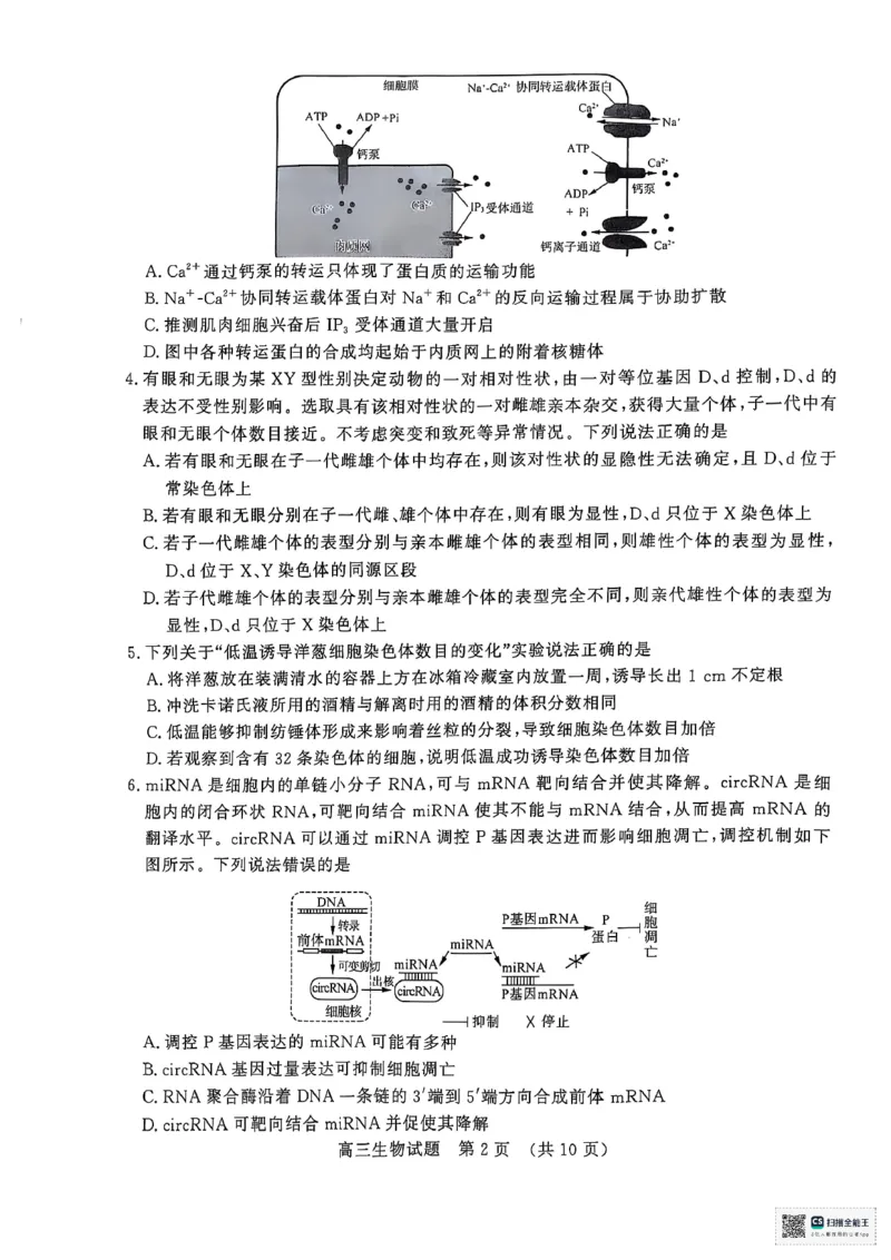 生物1_2025年1月_250119山东省济南市2024-2025学年高三上学期1月期末学习质量检测（全科）_山东省济南市2024-2025学年高三上学期1月期末考试生物