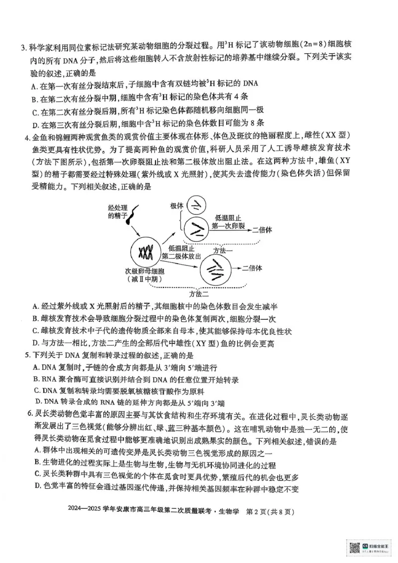 陕西省安康市2025届高三下学期第二次质量联考（二模）生物试题（含答案)_2025年3月_250304陕西省安康市2025届高三下学期第二次质量联考（二模）（全科）