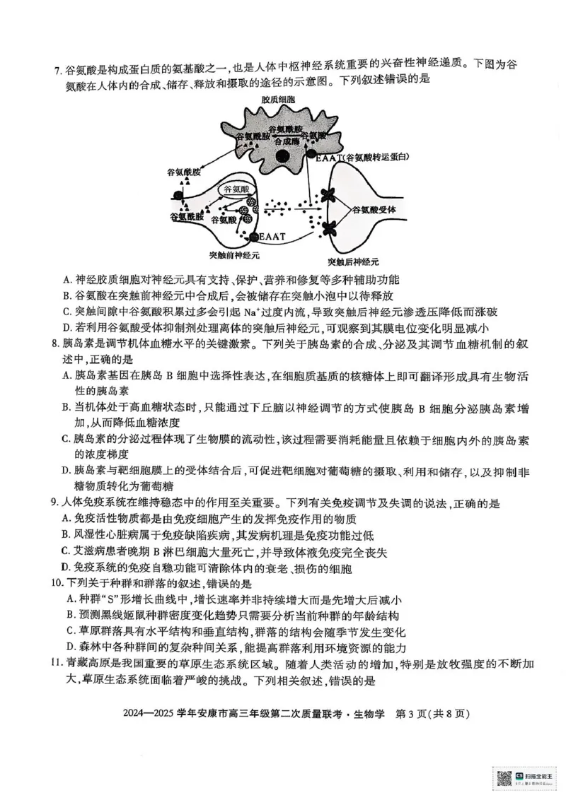 陕西省安康市2025届高三下学期第二次质量联考（二模）生物试题（含答案)_2025年3月_250304陕西省安康市2025届高三下学期第二次质量联考（二模）（全科）