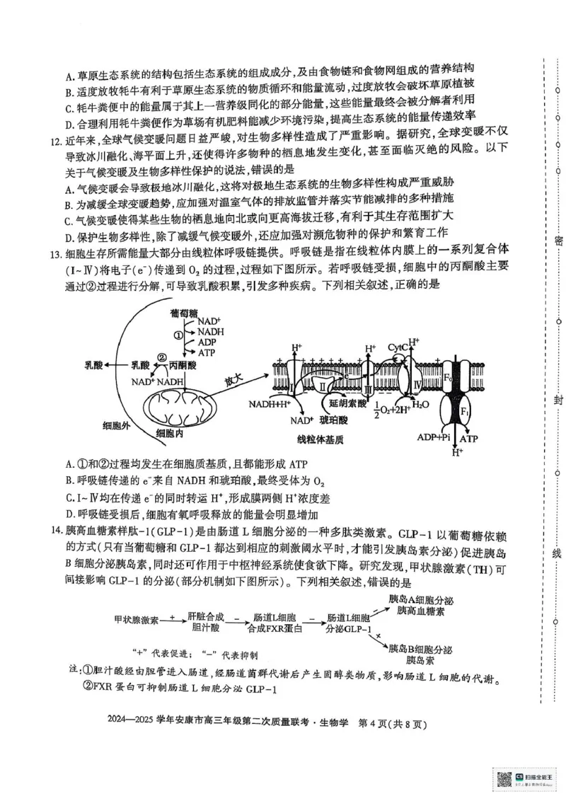 陕西省安康市2025届高三下学期第二次质量联考（二模）生物试题（含答案)_2025年3月_250304陕西省安康市2025届高三下学期第二次质量联考（二模）（全科）