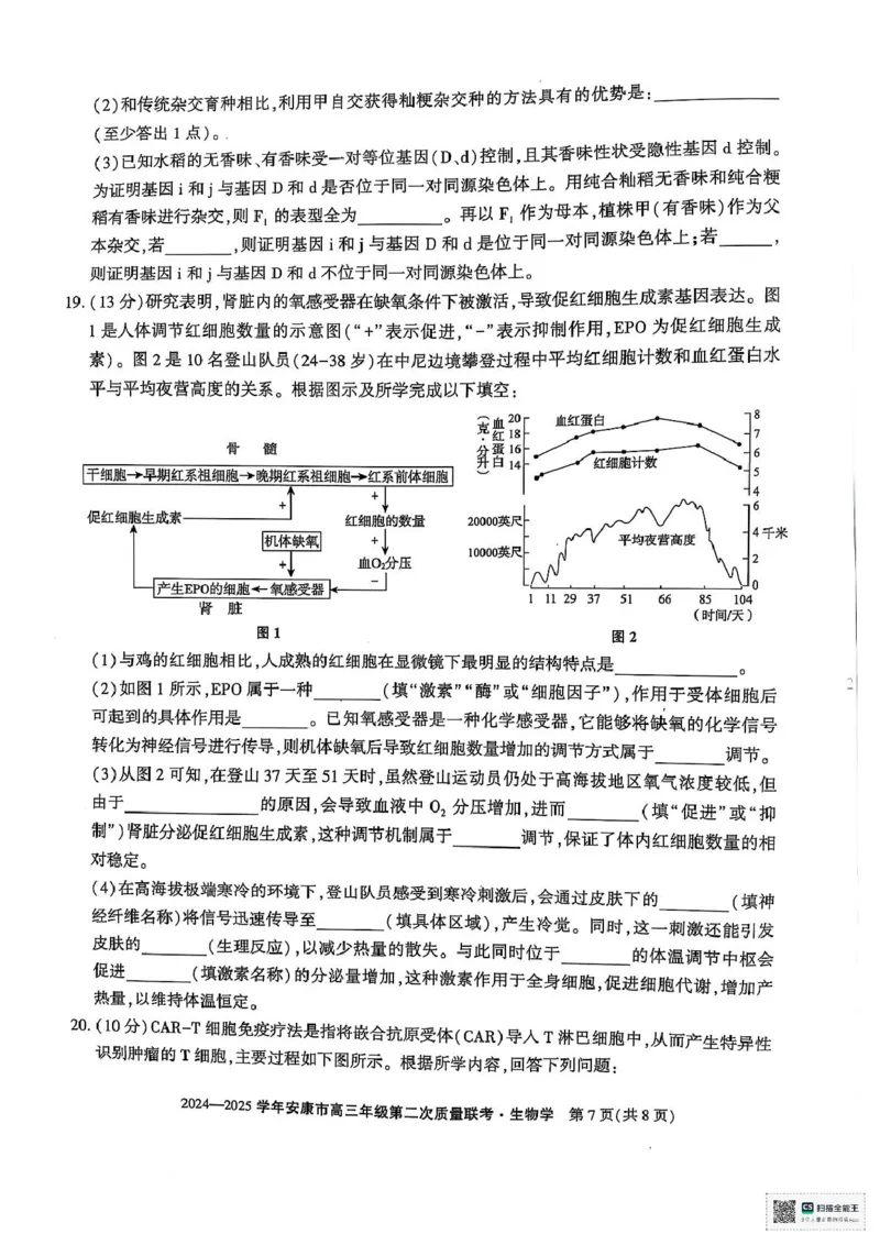 陕西省安康市2025届高三下学期第二次质量联考（二模）生物试题（含答案)_2025年3月_250304陕西省安康市2025届高三下学期第二次质量联考（二模）（全科）