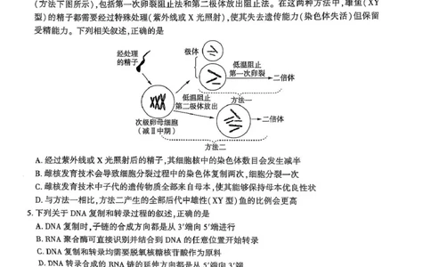 陕西省安康市2025届高三下学期第二次质量联考（二模）生物试题（含答案)_2025年3月_250304陕西省安康市2025届高三下学期第二次质量联考（二模）（全科）