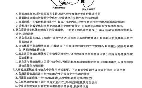 陕西省安康市2025届高三下学期第二次质量联考（二模）生物试题（含答案)_2025年3月_250304陕西省安康市2025届高三下学期第二次质量联考（二模）（全科）
