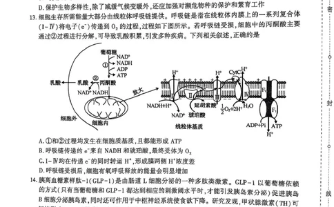 陕西省安康市2025届高三下学期第二次质量联考（二模）生物试题（含答案)_2025年3月_250304陕西省安康市2025届高三下学期第二次质量联考（二模）（全科）
