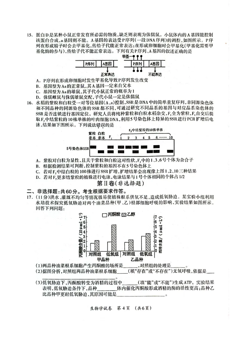 广西2025年3月高三第二次适应性考试生物试卷_2025年3月_250308广西壮族自治区2025年3月高三毕业班第二次高考适应性测试（全科）