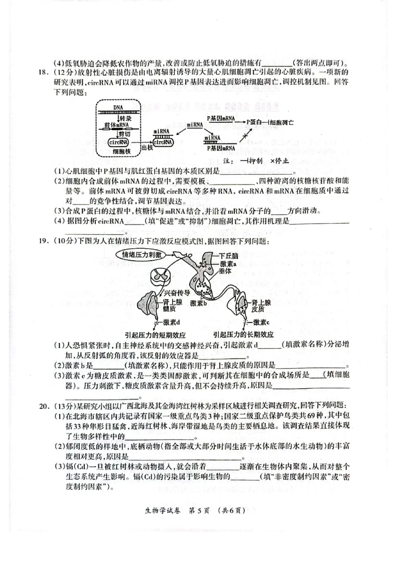 广西2025年3月高三第二次适应性考试生物试卷_2025年3月_250308广西壮族自治区2025年3月高三毕业班第二次高考适应性测试（全科）