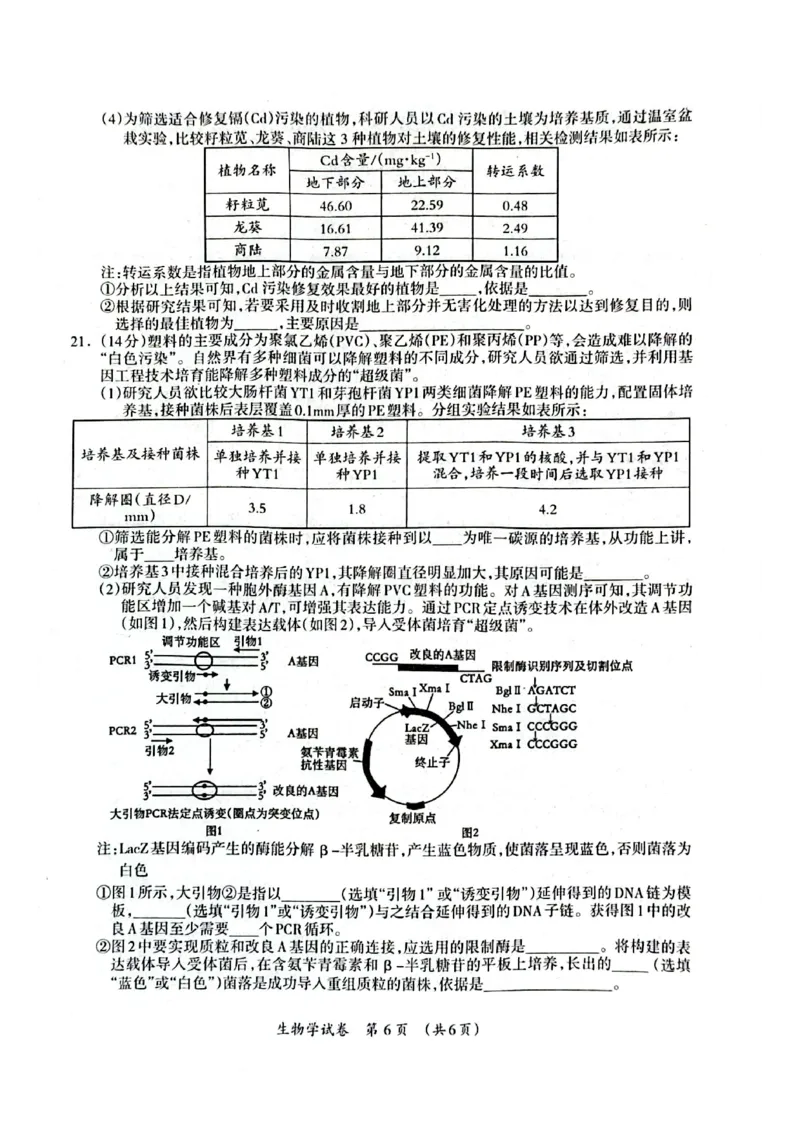 广西2025年3月高三第二次适应性考试生物试卷_2025年3月_250308广西壮族自治区2025年3月高三毕业班第二次高考适应性测试（全科）